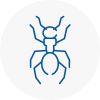 Ant Removals In Pendlebury