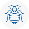 Bed Bug Extermination In Pendlebury