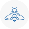 Bee Nest Removal Pendlebury