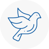 Bird Prevention Pendlebury
