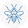 Pendlebury Hornet Nest Removals