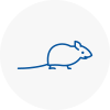 Mice Exterminators In Pendlebury