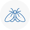 Moth Control Specialists In Pendlebury