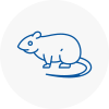 Rat Control Pendlebury
