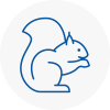 Pendlebury Rodent Removals
