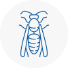 Pendlebury Wasp Nest Removal